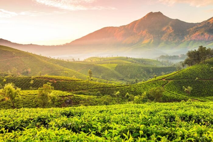 Majestic Kerala Tour